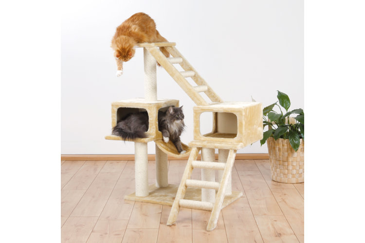 The 9 Best Cat Tree Features Wayfair Canada